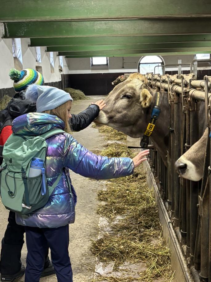 Erlebnis Rotholz 1b, 1c