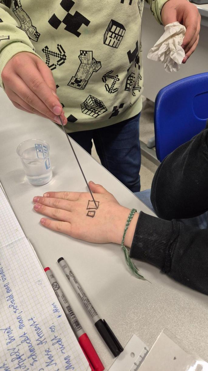 Physik-Projekt: Wir erleben unsere Sinne